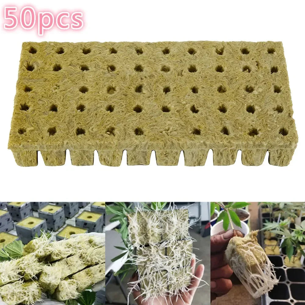 50 Plant Starter Grow Plug Cubes – Ideal for Hydroponics