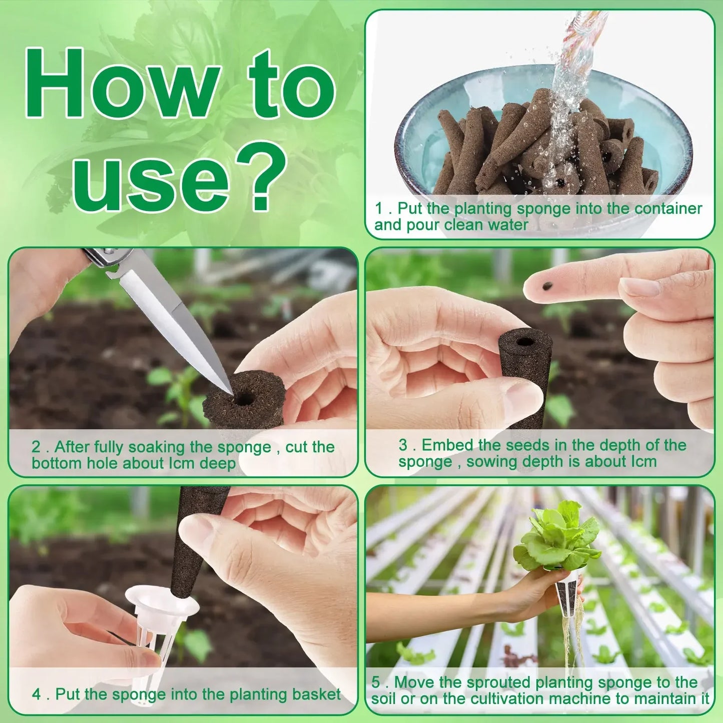 Hydroponic Seed Pod Kit