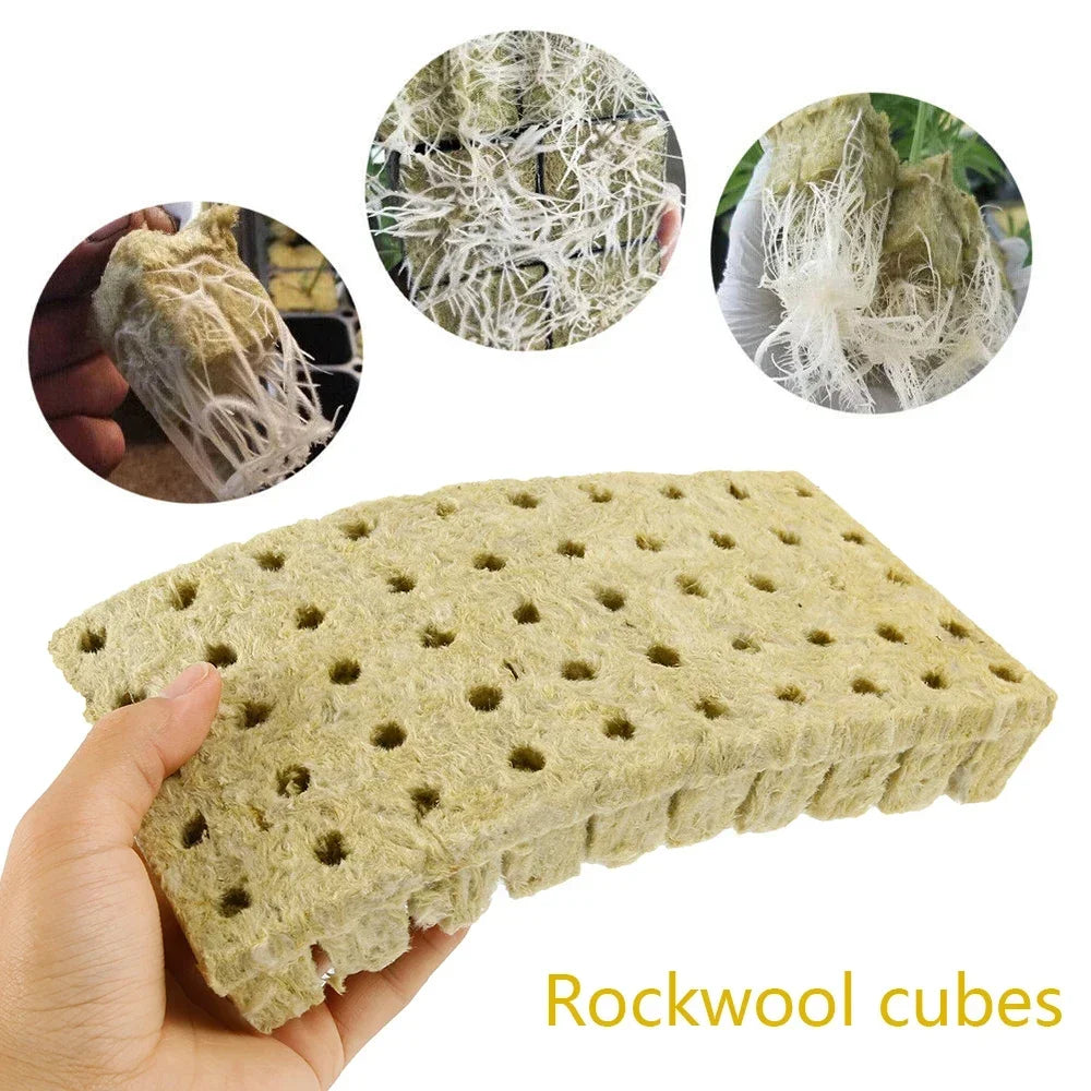 50 Plant Starter Grow Plug Cubes – Ideal for Hydroponics