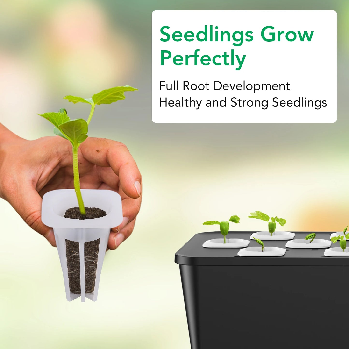 60 Hydroponic Replacement Pods for Countertop Systems