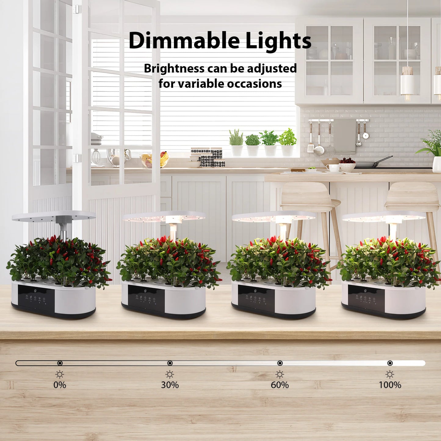 12-Pod Salad Maker – Grow Your Own Salad Without the Dirt and Drama