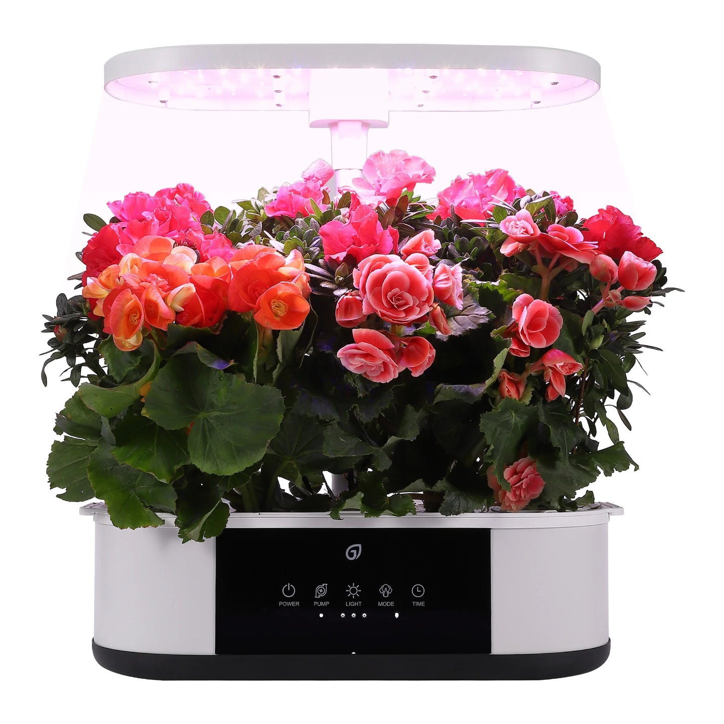 12-Pod Salad Maker – Grow Your Own Salad Without the Dirt and Drama