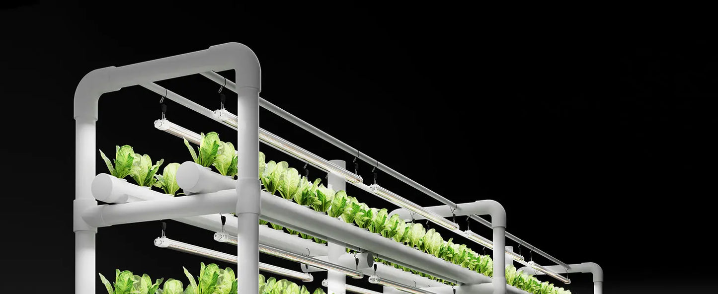 SPIDER FARMER GLOW80 LED Grow Lights – Full Spectrum Sunlike Lighting for Your Plants (Because They Deserve Better)