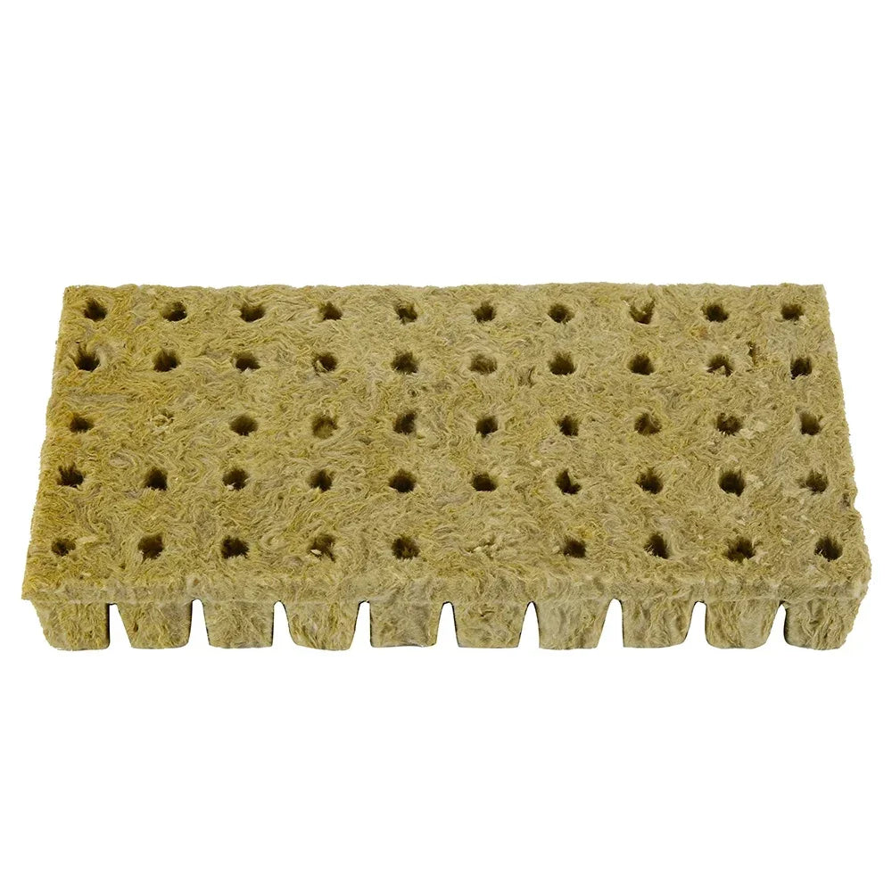 50 Plant Starter Grow Plug Cubes – Ideal for Hydroponics
