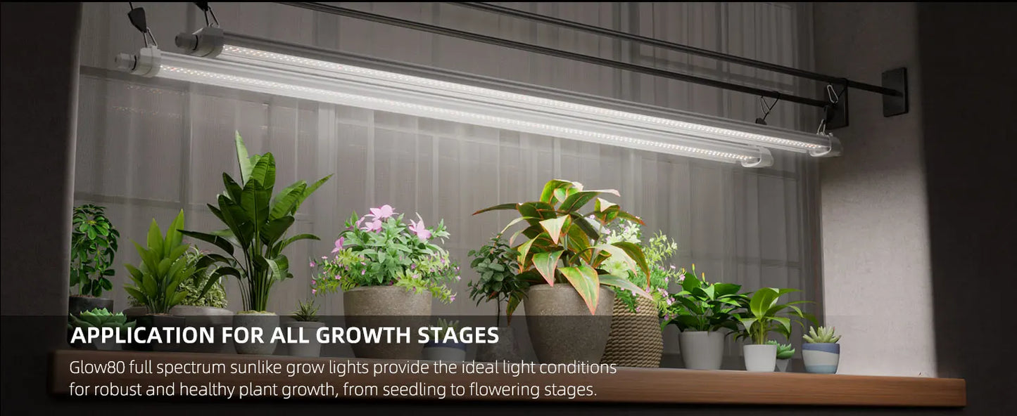 SPIDER FARMER GLOW80 LED Grow Lights – Full Spectrum Sunlike Lighting for Your Plants (Because They Deserve Better)