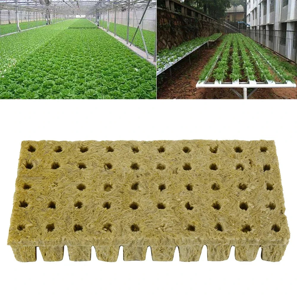 50 Plant Starter Grow Plug Cubes – Ideal for Hydroponics