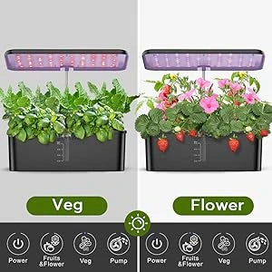 Indoor Hydroponic Garden Kit with Adjustable Grow Light - 12 Pod