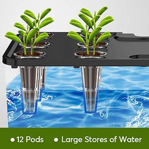 Indoor Hydroponic Garden Kit with Adjustable Grow Light - 12 Pod