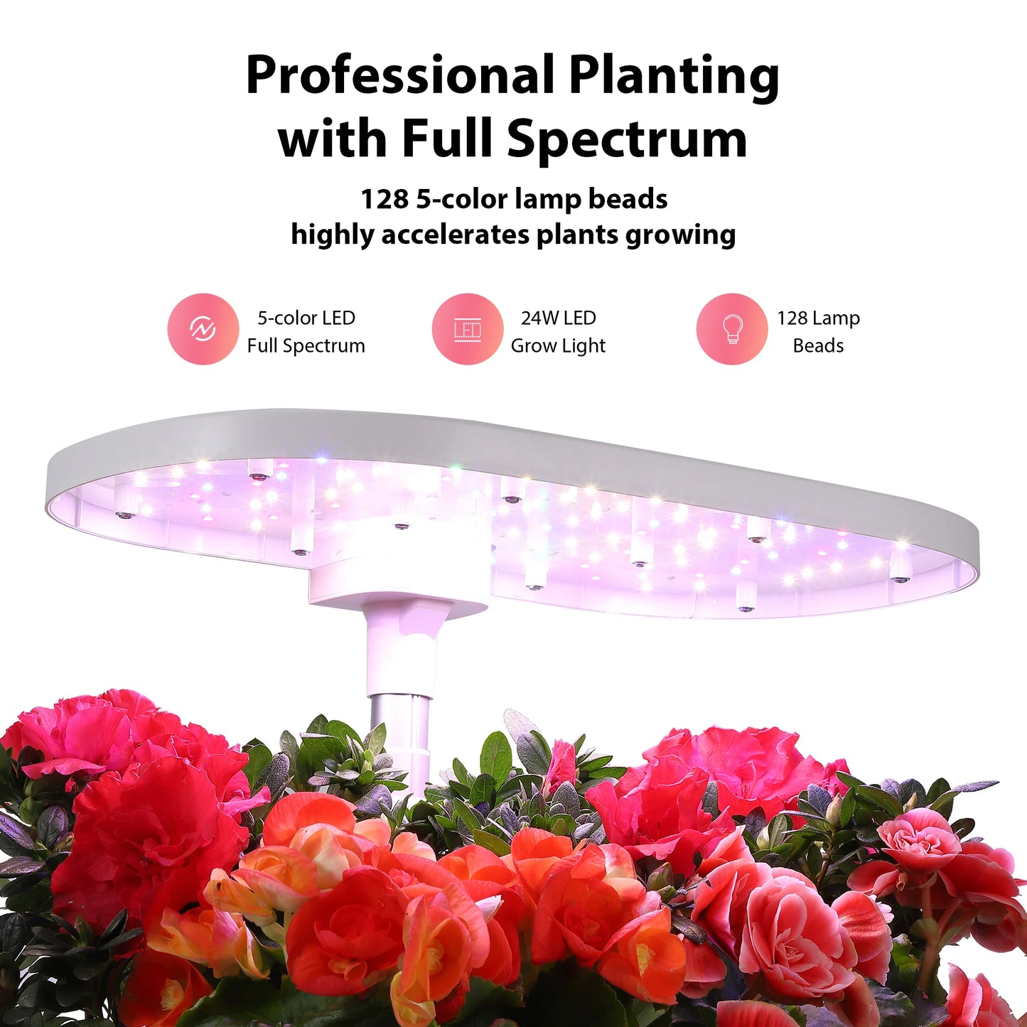 12-Pod Salad Maker – Grow Your Own Salad Without the Dirt and Drama