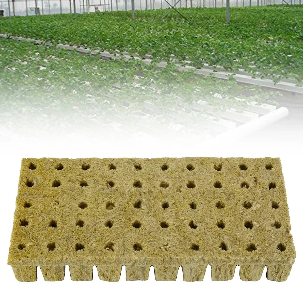 50 Plant Starter Grow Plug Cubes – Ideal for Hydroponics
