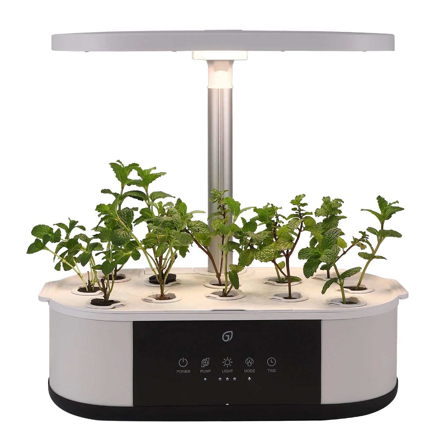 12-Pod Salad Maker – Grow Your Own Salad Without the Dirt and Drama