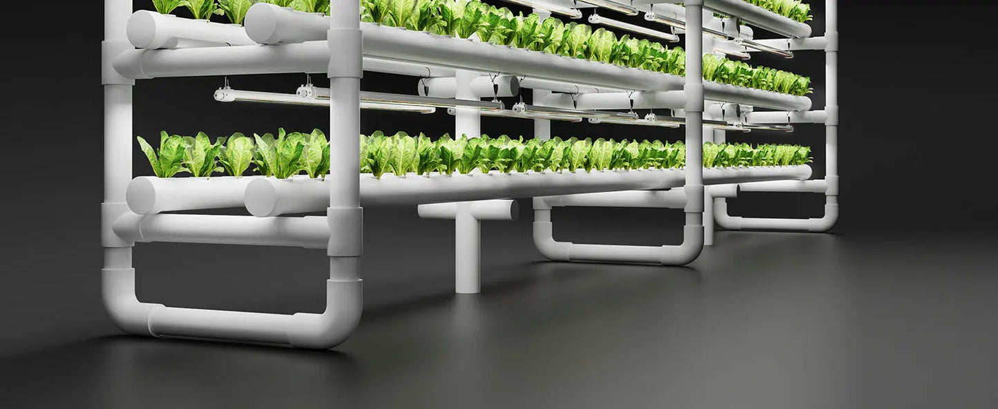 SPIDER FARMER GLOW80 LED Grow Lights – Full Spectrum Sunlike Lighting for Your Plants (Because They Deserve Better)